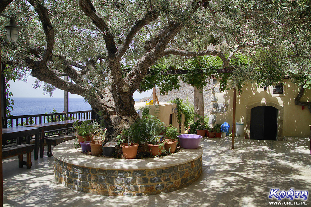 The interior of the monastery